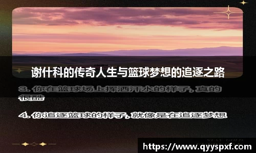 6T体育安卓版