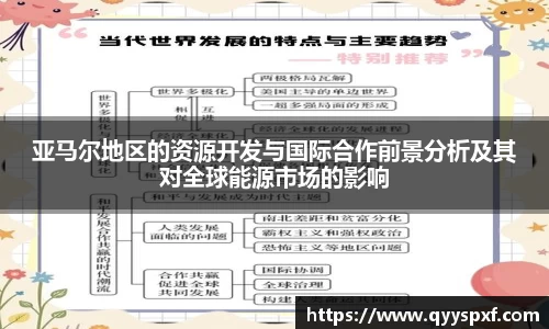 亚马尔地区的资源开发与国际合作前景分析及其对全球能源市场的影响